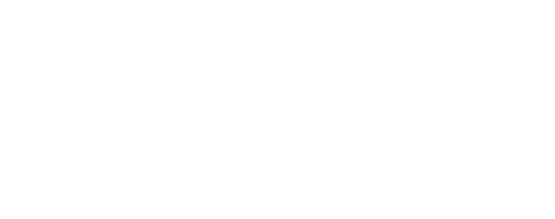 Salis Logo